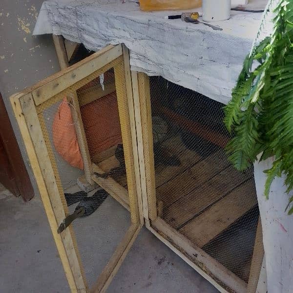 double size big hen cage 1