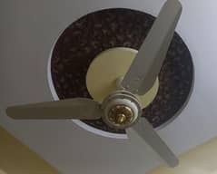 celling fan