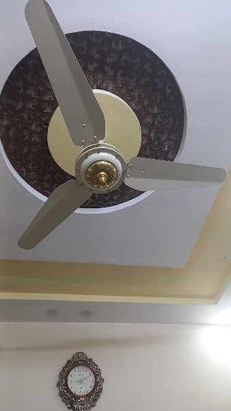 celling fan 1