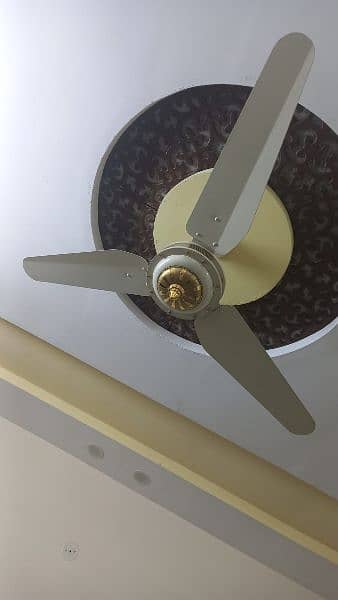 celling fan 2