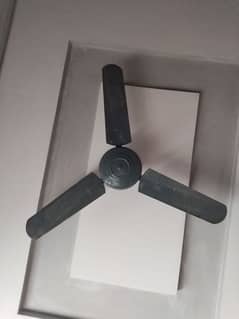 Celling fan for sale