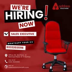 Sales Executive