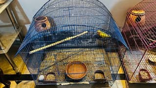 urgent sale beauty cockatiels pair and one love bird with 2 cages