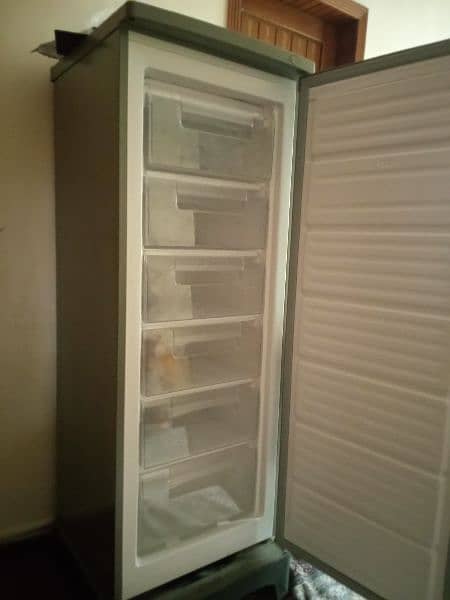 Signature Freezer(Chester) 1