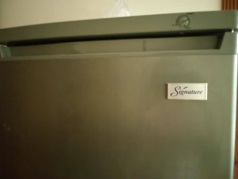 Signature Freezer(Chester) 2