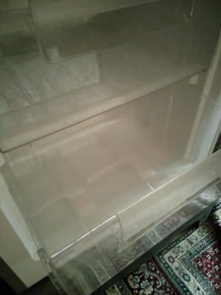 Signature Freezer(Chester) 3