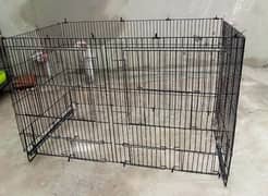 iron cage 10x10 condition