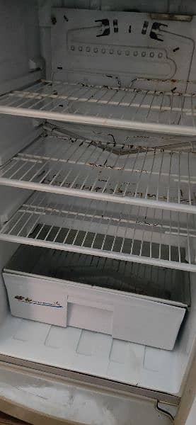 Pell Fridge. . . Clean Condition 0