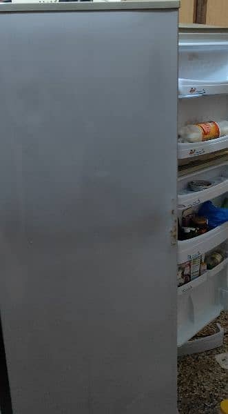 Pell Fridge. . . Clean Condition 2