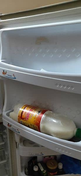 Pell Fridge. . . Clean Condition 7