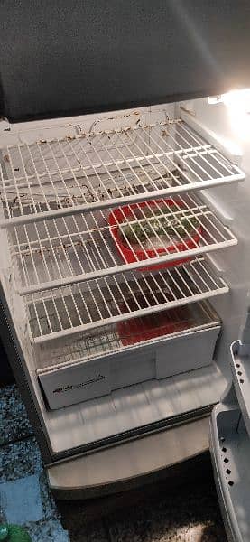 Pell Fridge. . . Clean Condition 10