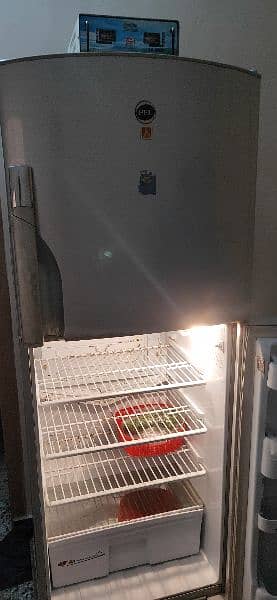 Pell Fridge. . . Clean Condition 14