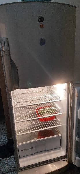 Pell Fridge. . . Clean Condition 15