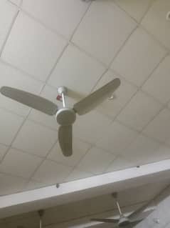 GFC Celling Fan