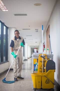 cleaner/sweeper is required