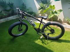 fat bike/ mountain bike 0