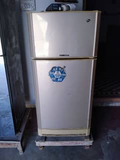 PEL fridge available for sale