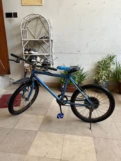 cycle blue colour