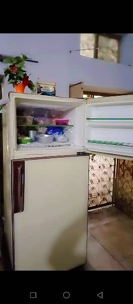 National Fridge 3