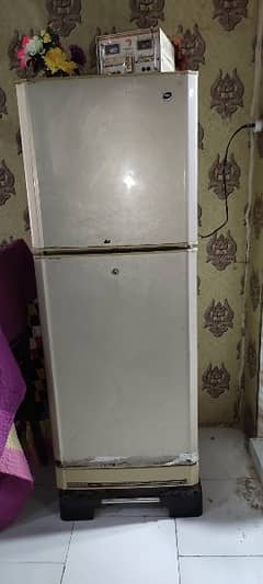 fridge pel medium size condition 10/8