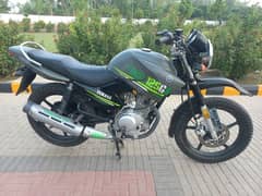 YAMAHA YBR 125 G 2023 (0322_3276769