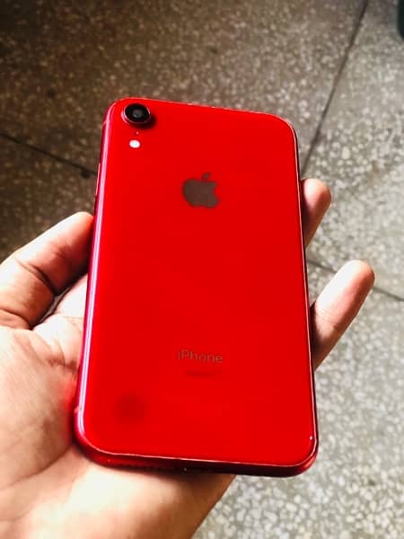 iphone xr frame 0