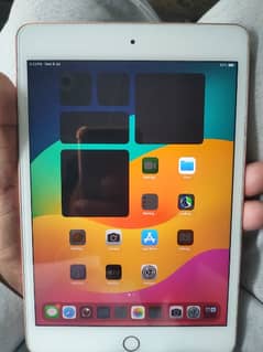 iPad mini 5 with box charger 10by10