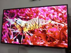 43 inches Samsung LED just like new & free Android Device worth 8000