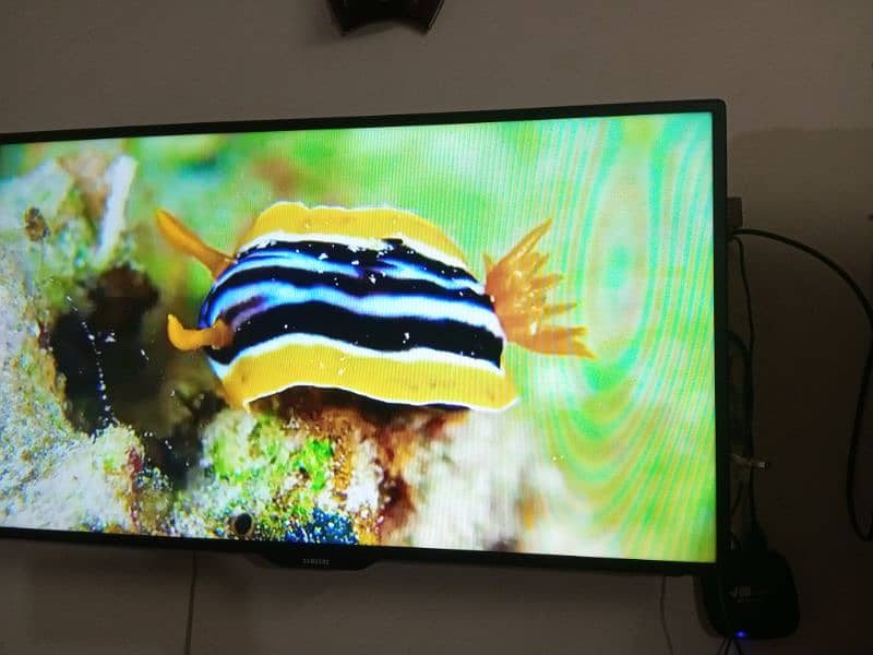 43 inches Samsung LED just like new & free Android Device worth 8000 1