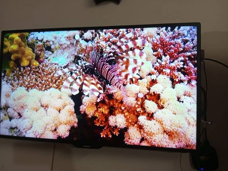 43 inches Samsung LED just like new & free Android Device worth 8000 9