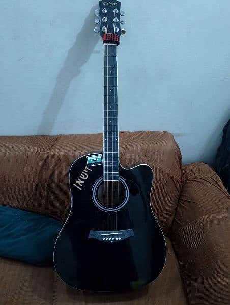 Brand New semi acoustic guitar 0