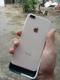iPhone 8plus 256 pta approved
