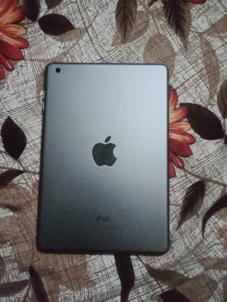 Apple ipad 0