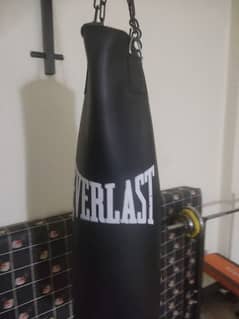 Everlast boxing bag with stand and gloves