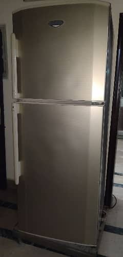 haeir refrigerator