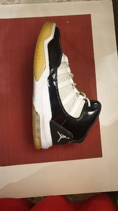 Air Jordan 11 Retro Basketball Shoes (from Germany)