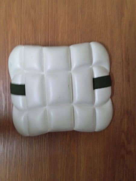 cricket thigh pads and arm guard 4
