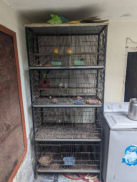 cage for birds 0