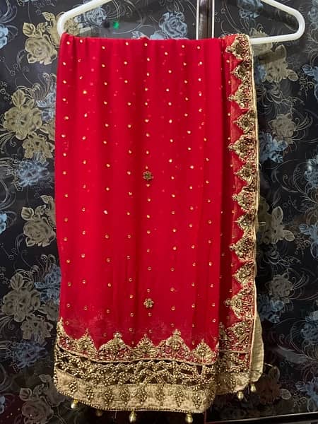 Bridel Lehnga 2