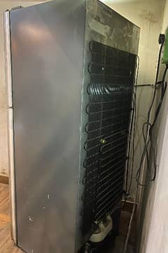 Refrigerator (Haier) Full Size Glass Door Black Color for Urgent Sale