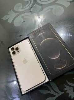 iphone 12 pro max pta approved