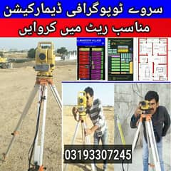 Surveyor