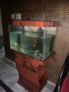 Fish Aquarium (2ft Size)