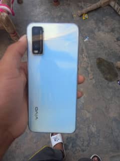 vivo