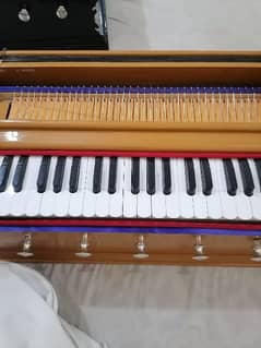 Indian Harmonium For Sale camera below and double below