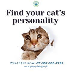 Discover Your Cat's Personality Traits | Find Your Cat's Personality