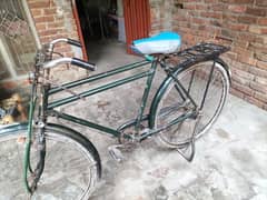 22 inch Cycle in original colour