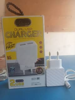 Travel Charger 100-240V~50/60Hz 0.5A  Output DC5.0V=1A Max 0