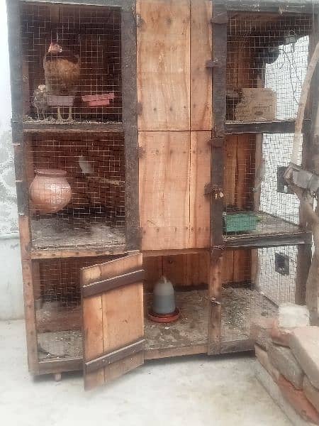 Bird cage for sall Whatsapp number 03400016144 2