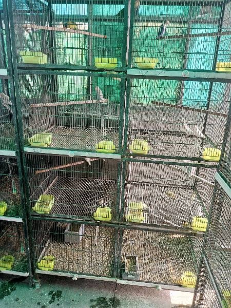 cages for sale 4